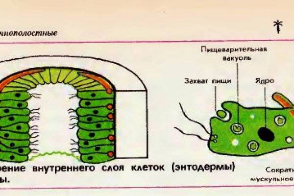 Кракен даркнет маркет ссылка на сайт тор