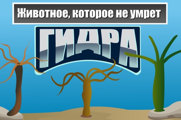 Кракен официальная ссылка зеркало