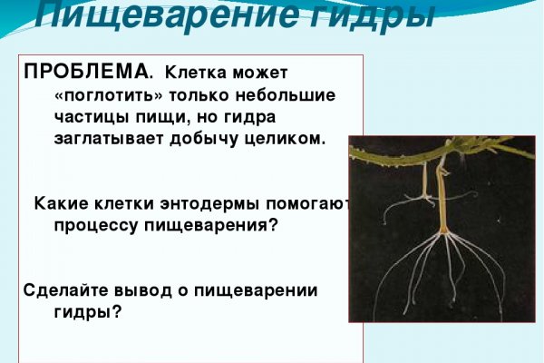 Kraken 14at