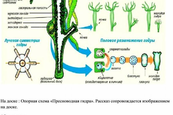 Маркет плейс кракен маркетплейс