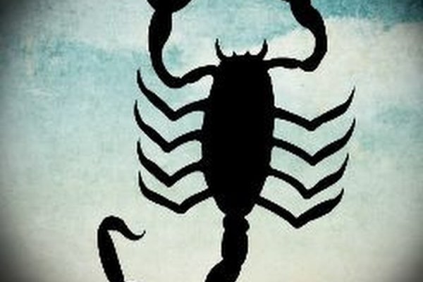 Kraken 23at