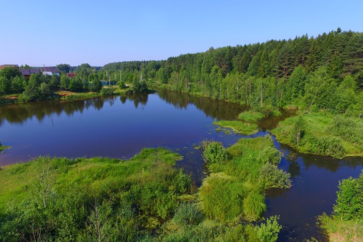 Забыл пароль от кракен